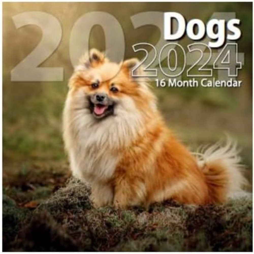 2024 Dogs Full Size Wall Calendar for Planning, Scheduling, and Organizing